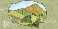 VinoSVeritaS
